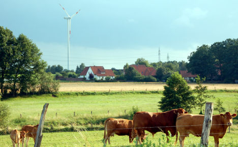 Glückliche Kühe vor Windkraftanlage